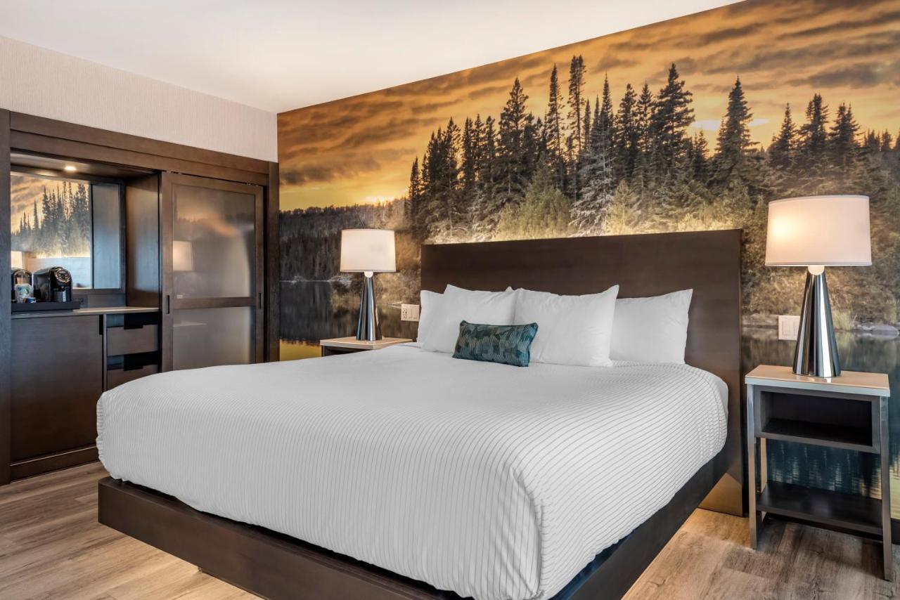 Cambria Hotel Shelby Township - Detroit Utica Shelby Twp Εξωτερικό φωτογραφία