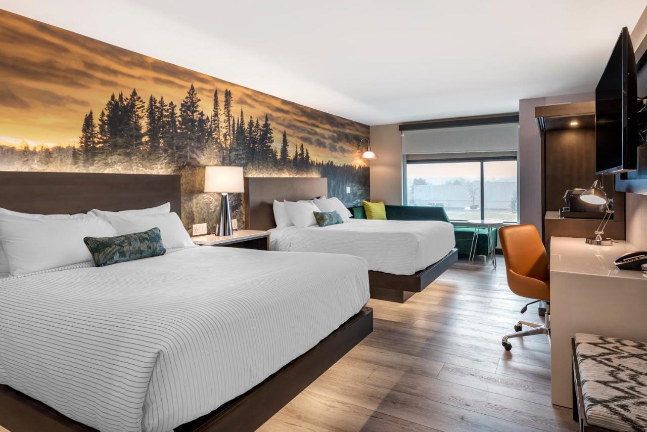 Cambria Hotel Shelby Township - Detroit Utica Shelby Twp Εξωτερικό φωτογραφία