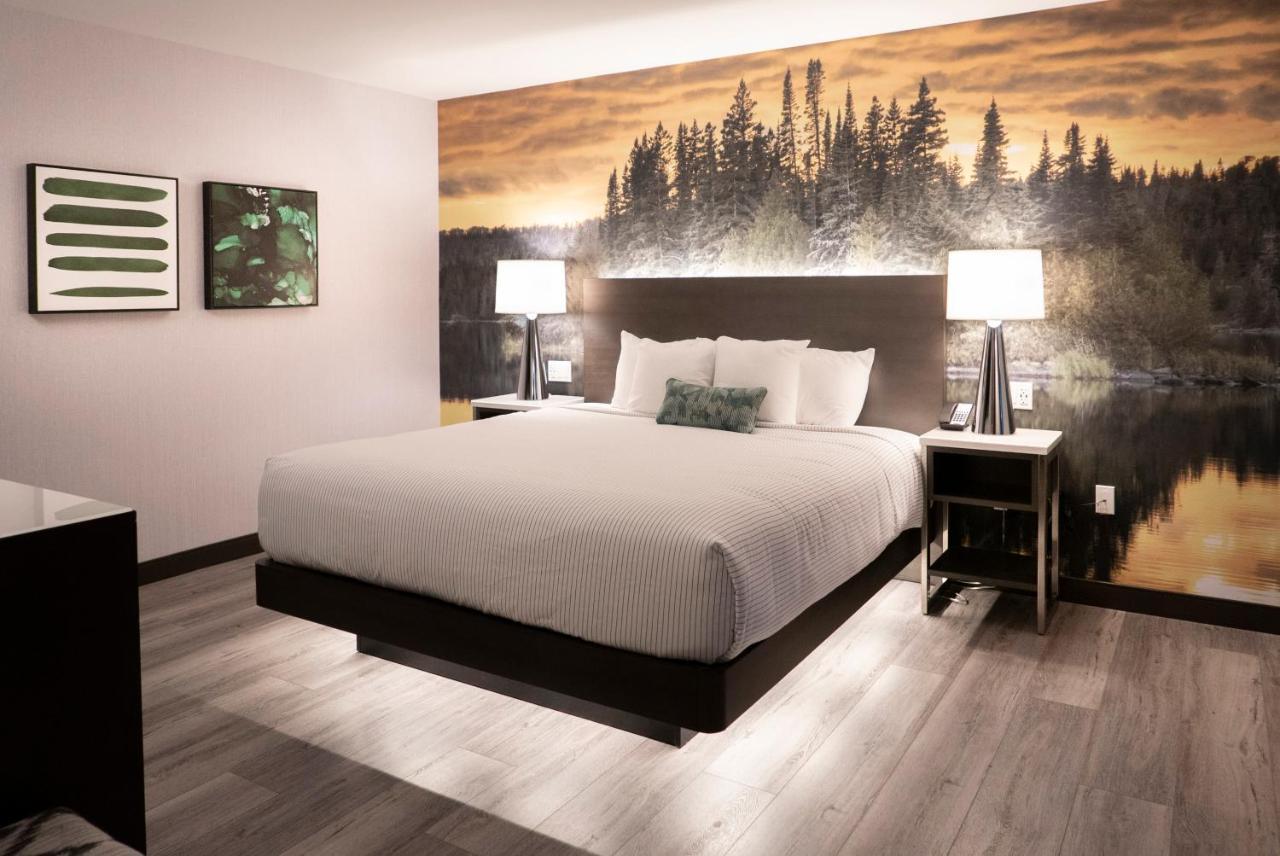 Cambria Hotel Shelby Township - Detroit Utica Shelby Twp Εξωτερικό φωτογραφία