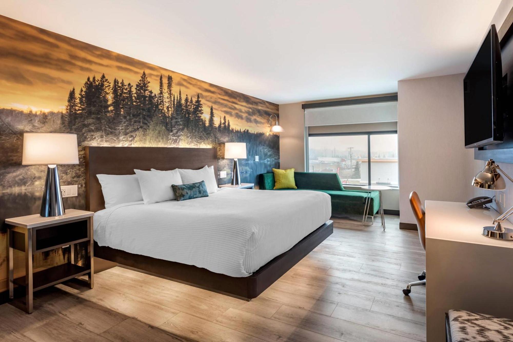 Cambria Hotel Shelby Township - Detroit Utica Shelby Twp Εξωτερικό φωτογραφία